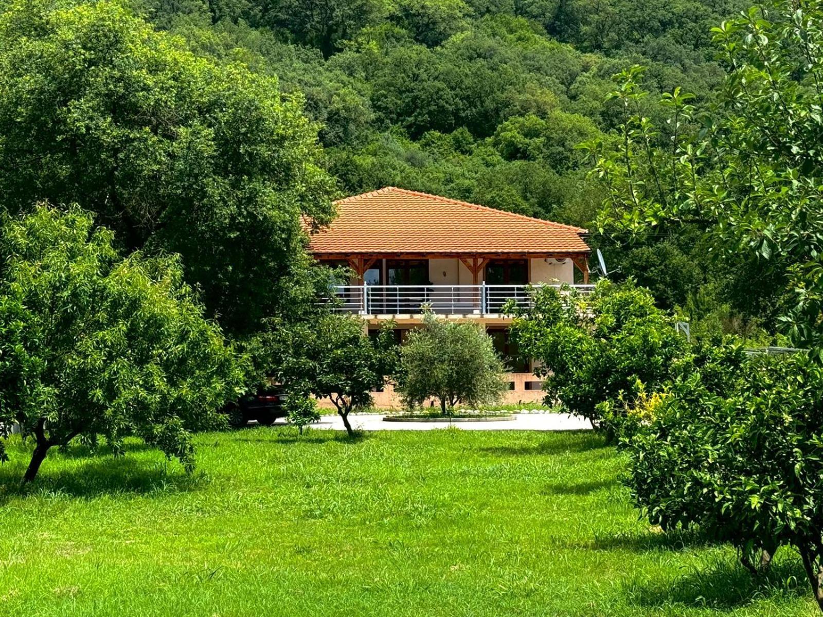 Stars Residence Petrovac المظهر الخارجي الصورة